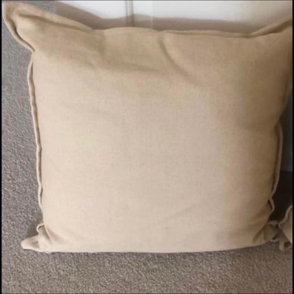 NWT pair of Crate & Barrel pillows - Picture 2 of 6